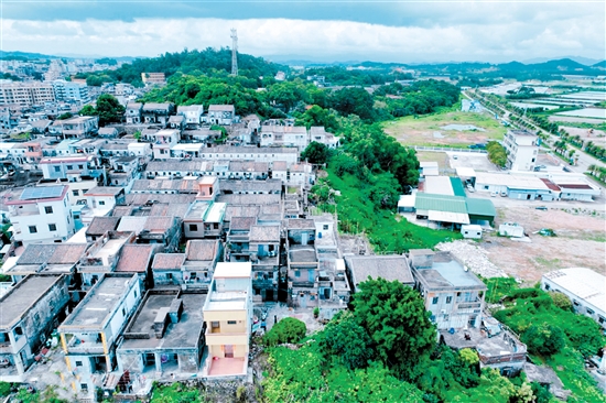 經(jīng)過改造后，鯤鵬村的舊房屋（上圖）披上具有海洋元素的“外衣”，村容村貌明顯改善。
