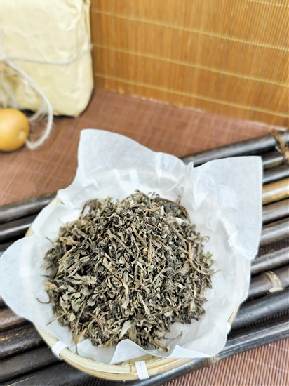 午馬——馬齒莧 午馬——馬齒莧