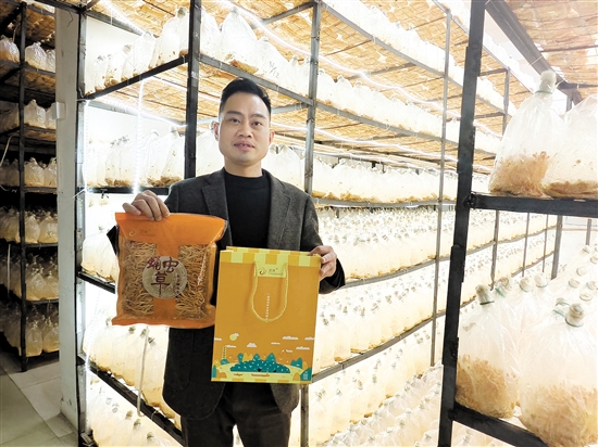 蛹蟲草春節(jié)禮盒包裝受到青睞。