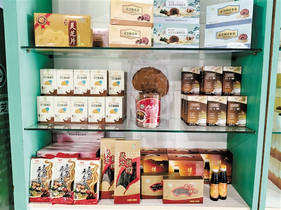 琳瑯滿目的靈芝類產(chǎn)品。