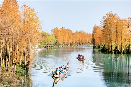 禮樂龍舟訓(xùn)練基地風(fēng)景如畫。