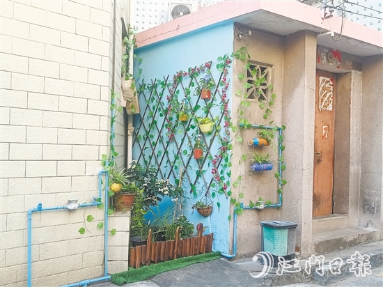 家門口的立體小花園為禾岡村注入生機與活力。