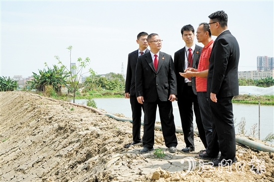 執(zhí)行法官在田間地頭向當(dāng)事人了解案情。