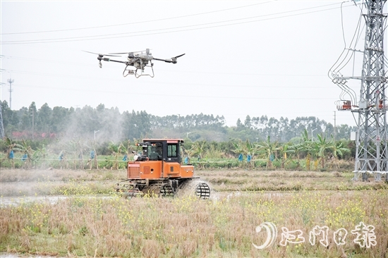 無人機(jī)、水旱耕作機(jī)協(xié)作開展春耕生產(chǎn)。