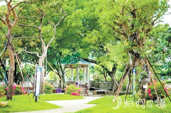 去年，鶴山開展城鄉(xiāng)一體綠美行動(dòng)，著力推進(jìn)縣鎮(zhèn)村綠化攻堅(jiān)，累計(jì)種植苗木14.8萬株。