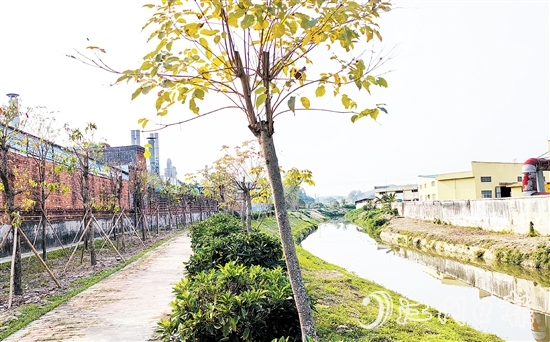 新橋水流域經(jīng)過治理后，環(huán)境大大改善。