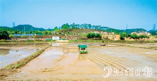 松土機、插秧機在集中連片的水田里來回穿梭。