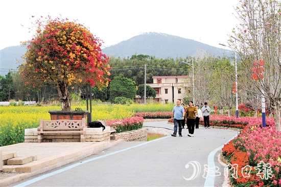 在鶴城鎮(zhèn)城西村忠心崗，油菜花、金魚(yú)草、三角梅競(jìng)相開(kāi)放。