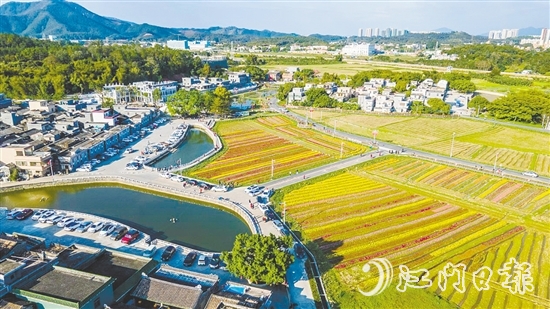 春賞格?；?、夏觀荷塘月、秋品稻花香、冬聞桂花釀的“全季旅游”模式，讓桂水村的知名度不斷攀升。