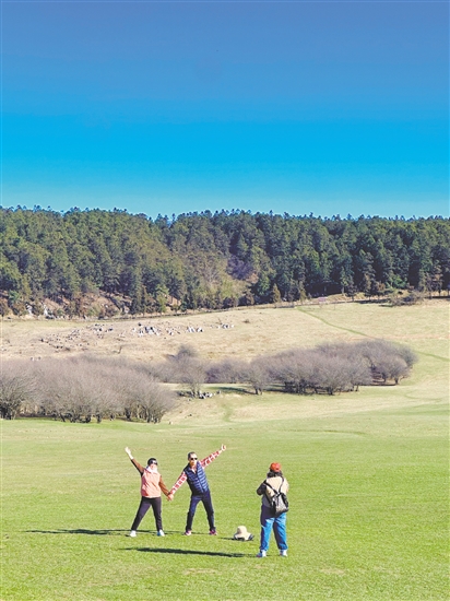 仙女山國家森林公園十分治愈。