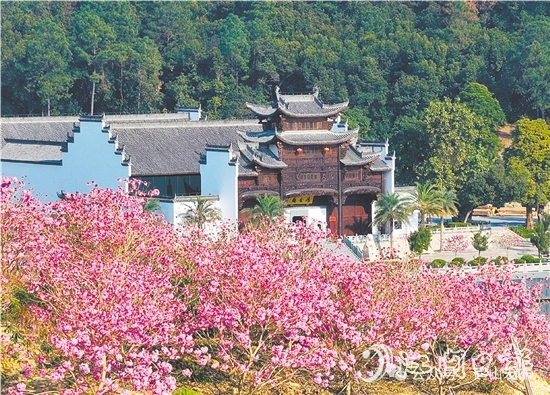 共和鎮(zhèn)來蘇村利用去年擂臺比武獲得的獎勵資金進行一系列鄉(xiāng)村建設。圖為來蘇山水人家文旅項目。