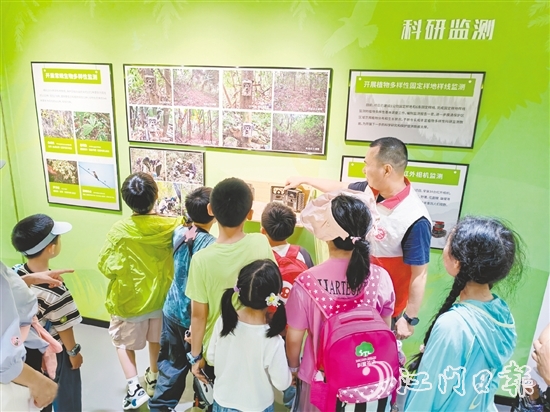 小朋友們在保護區(qū)學習有趣的知識。