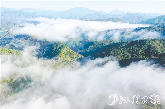 七星坑保護(hù)區(qū)的森林覆蓋率高達(dá)98%，負(fù)氧離子濃度年平均值達(dá)2192個(gè)/立方厘米，遠(yuǎn)超世界衛(wèi)生組織界定的清新空氣標(biāo)準(zhǔn)（≥1000個(gè)/立方厘米）。