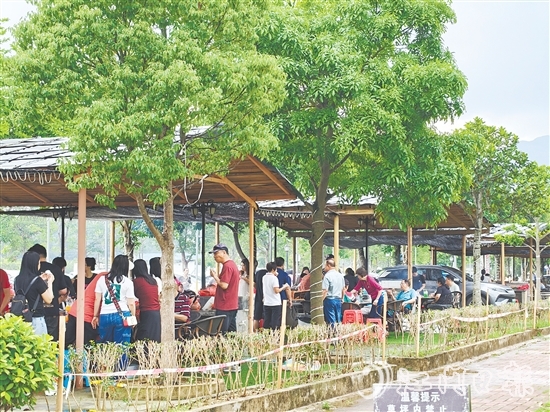 今年“五一”假期，恩平市簕菜文化創(chuàng)意園內游人如織。