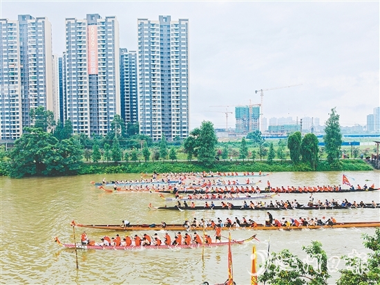 在長(zhǎng)沙街道杜澄片區(qū)的蒼江河畔，每逢端午時(shí)節(jié)，十余艘龍舟劈波斬浪，兩岸人聲鼎沸。