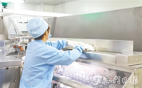 在生物醫(yī)藥產(chǎn)業(yè)領(lǐng)域，開平市聚焦生產(chǎn)制造端，在珠江西岸率先構(gòu)建起“原料藥—化藥制劑—醫(yī)療器械—流通服務(wù)—終端需求”的垂直整合型產(chǎn)業(yè)生態(tài)。圖為廣東彼迪藥業(yè)有限公司生產(chǎn)車間。