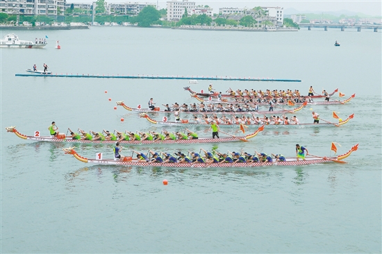 “嘉士利杯”2025年開(kāi)平市國(guó)際龍舟邀請(qǐng)賽在潭江舉行。