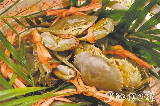 崖門水蟹肉少水多，最適合原只清蒸后用吸管“啜”著吃。