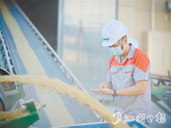 臺國糧集團以“珍香”品牌優(yōu)質大米為核心依托，構建起涵蓋收購、烘干、儲備、輪換，以及精深加工、品質檢測、市場銷售的全鏈條產(chǎn)業(yè)化經(jīng)營體系。