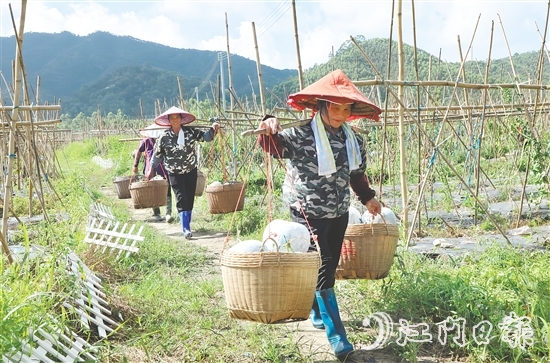 “潭碧冬瓜”地理標(biāo)志專(zhuān)用標(biāo)志的核準(zhǔn)使用既是對(duì)潭碧冬瓜產(chǎn)品質(zhì)量的高度認(rèn)可，又有助于保護(hù)和傳承地方特色產(chǎn)品。