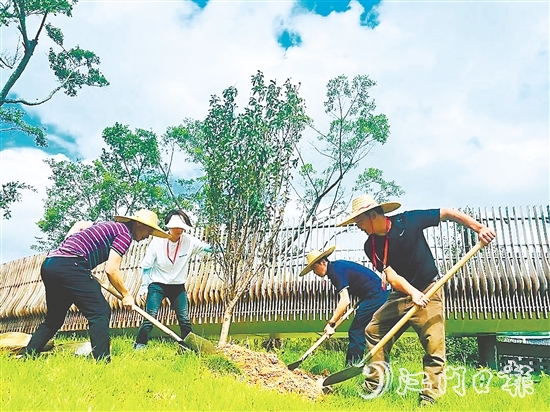 會(huì)城街道人大代表在小鳥天堂國(guó)家濕地公園種下40多株桃花樹苗。