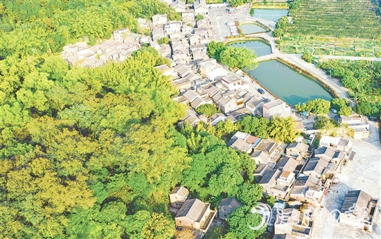 大江鎮(zhèn)石橋村華僑資源豐富，村內(nèi)有成片僑房形成的僑韻景觀。