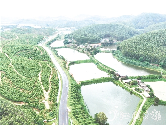 鶴山依托區(qū)位、資源、項目等核心優(yōu)勢，大力發(fā)展特色戶外運動。