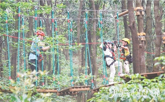 鶴山大雁山飛越叢林樂園十分火熱，吸引各地游客進(jìn)山探秘原始叢林，體驗戶外運動帶來的無限樂趣。