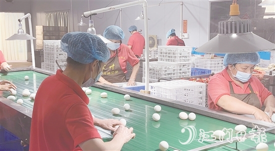 赤水鎮(zhèn)現(xiàn)已形成集種鴨繁育、生態(tài)養(yǎng)殖、飼料供應(yīng)、肉禽屠宰、蛋品加工、冷鏈物流于一體的完整產(chǎn)業(yè)鏈，產(chǎn)業(yè)總產(chǎn)值超5億元。