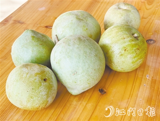 冰淇淋果果實(shí)成熟時(shí)可呈黃色或綠色，果肉為乳白色或米黃色，質(zhì)地綿軟順滑，果香濃郁。