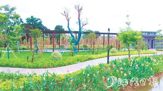 沙東村的村容村貌煥然一新。