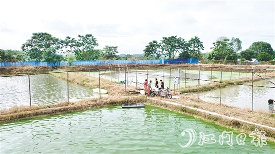養(yǎng)殖基地毗鄰鶴城鎮(zhèn)三堡河，水源充沛，水質(zhì)優(yōu)良。