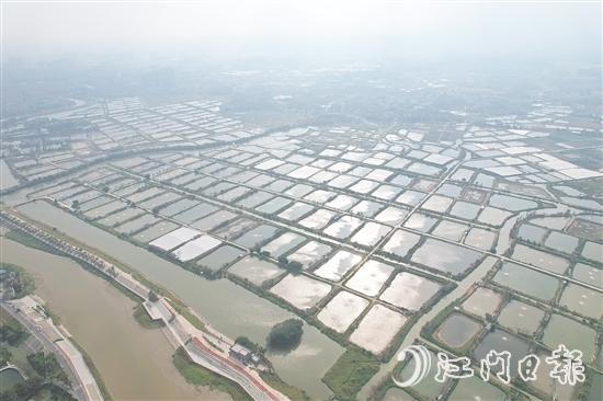 古勞鎮(zhèn)大埠村實(shí)行“股票田改革”，帶動(dòng)村集體經(jīng)濟(jì)蓬勃發(fā)展，村民以田入股實(shí)現(xiàn)穩(wěn)定增收。