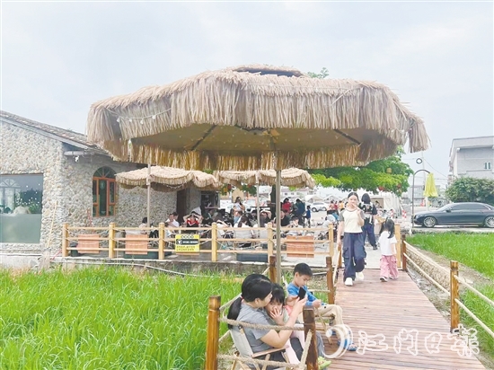 牛江鎮(zhèn)牛欄咖啡吸引諸多游客前來(lái)打卡。