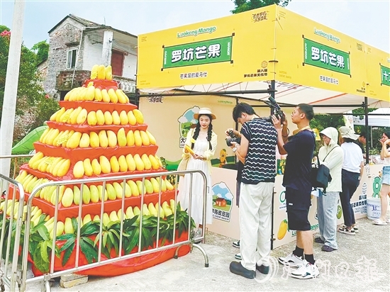 “芒果金字塔”吸引眾多游客前來打卡。