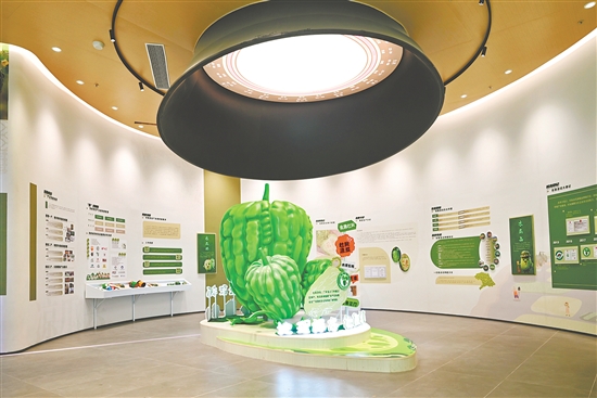 杜阮涼瓜博覽館。