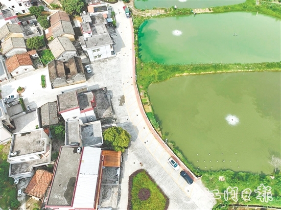 整治后的荔枝園村村道。