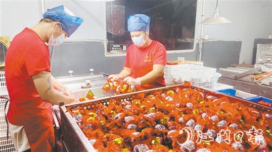 赤水鎮(zhèn)依托麻鴨養(yǎng)殖傳統(tǒng)優(yōu)勢(shì)，錨定“精深加工”做文章。