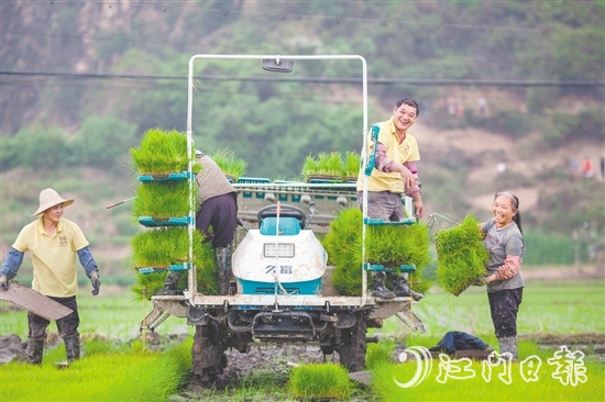 斗山鎮(zhèn)五福村以“產(chǎn)業(yè)融合+生態(tài)提質(zhì)+治理創(chuàng)新”的實(shí)踐路徑，將土地資源轉(zhuǎn)化為發(fā)展資本，讓傳統(tǒng)農(nóng)業(yè)迸發(fā)出現(xiàn)代活力。