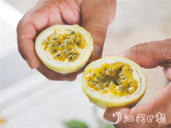 切開黃金百香果，酸甜的香氣撲面而來，十分誘人。