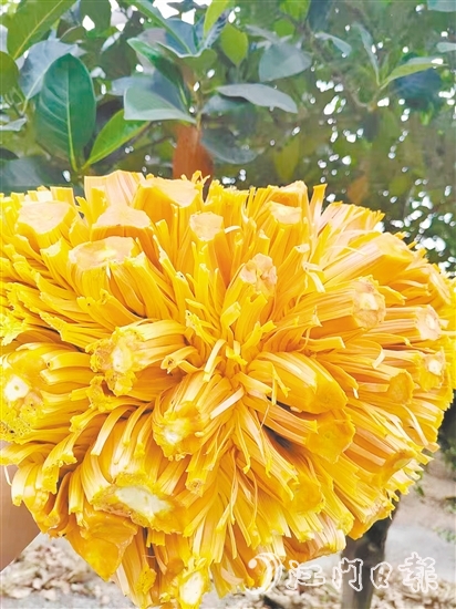 紅肉菠蘿蜜果實清香、口感脆甜且營養(yǎng)價值高。