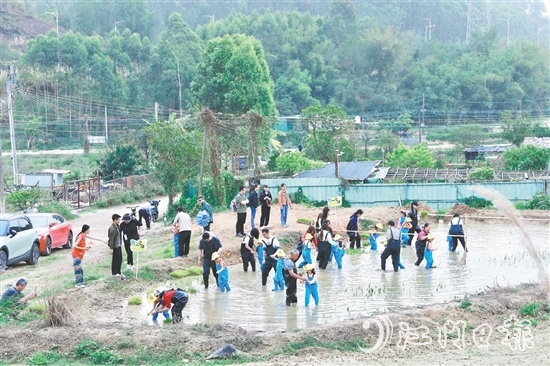 龍眠村把田間地頭打造成實(shí)踐研學(xué)地，探索發(fā)展農(nóng)文旅產(chǎn)業(yè)。