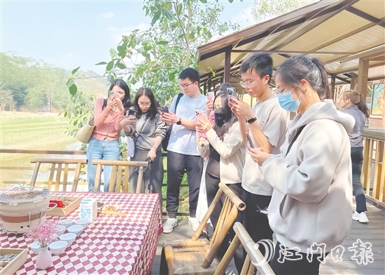 今年3月，開平市組織市重點自媒體走進大沙鎮(zhèn)開展花海茶田系列采風活動。