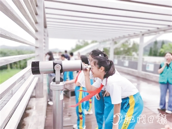 學生們用望遠鏡觀察鳥類活動。