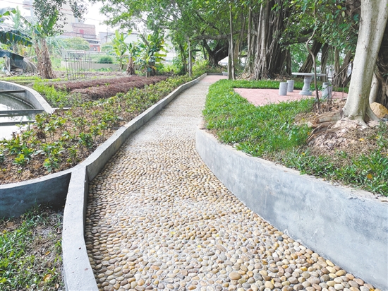 恩平自然村公園里裝設(shè)了石凳、石桌、鵝卵石健身路等設(shè)施，為村民提供更多的文化活動選擇。