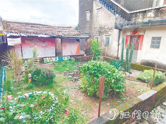 郭一芳家的庭院用沙地植物打造而成，形成層次分明的生態(tài)景觀。