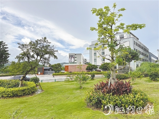 口袋公園不僅為社區(qū)拓展了綠色空間，更成了居民茶余飯后的休閑新去處。