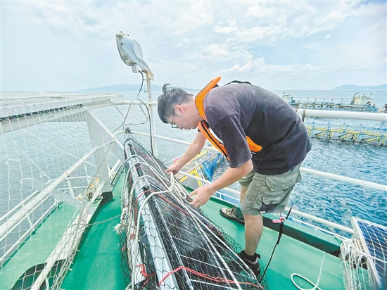 工作人員對(duì)“臺(tái)山1號(hào)”的太陽(yáng)能板進(jìn)行加固。