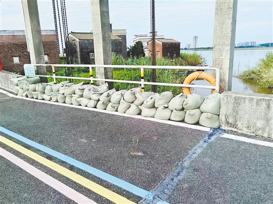 臺(tái)山市大江鎮(zhèn)重點(diǎn)通過堆疊防汛沙包，對(duì)轄區(qū)江邊所有易漫水口進(jìn)行逐一封堵、壓實(shí)，切實(shí)將臺(tái)風(fēng)可能引發(fā)的江水漫溢風(fēng)險(xiǎn)降至最低。李嘉敏