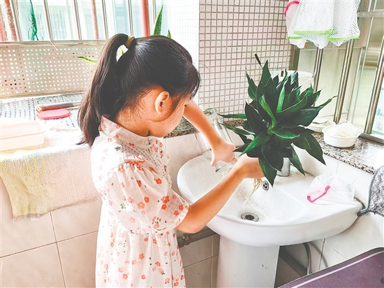 豐樂小學(xué)學(xué)生清理家里花瓶的積水。